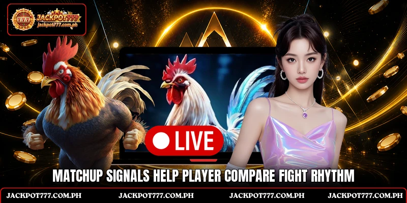 Matchup signals help player compare fight rhythm