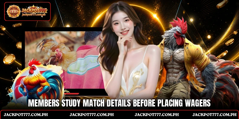 Strong Breed Sabong Type - Smart Guide For Players 6 Members study match details before placing wagers